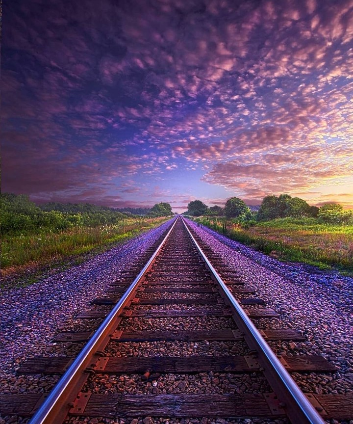 Tracks