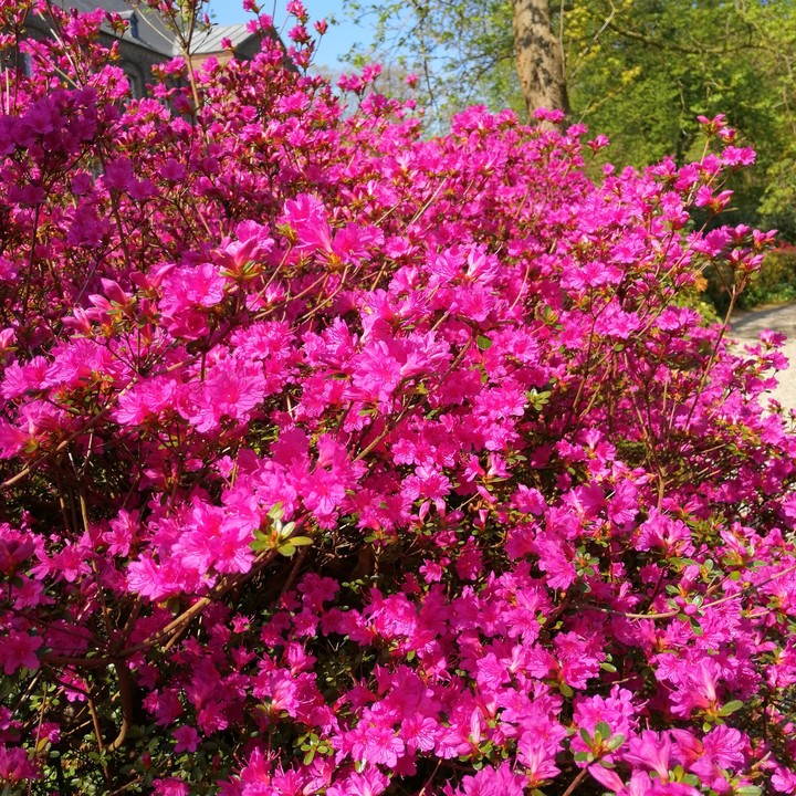beautiful nature