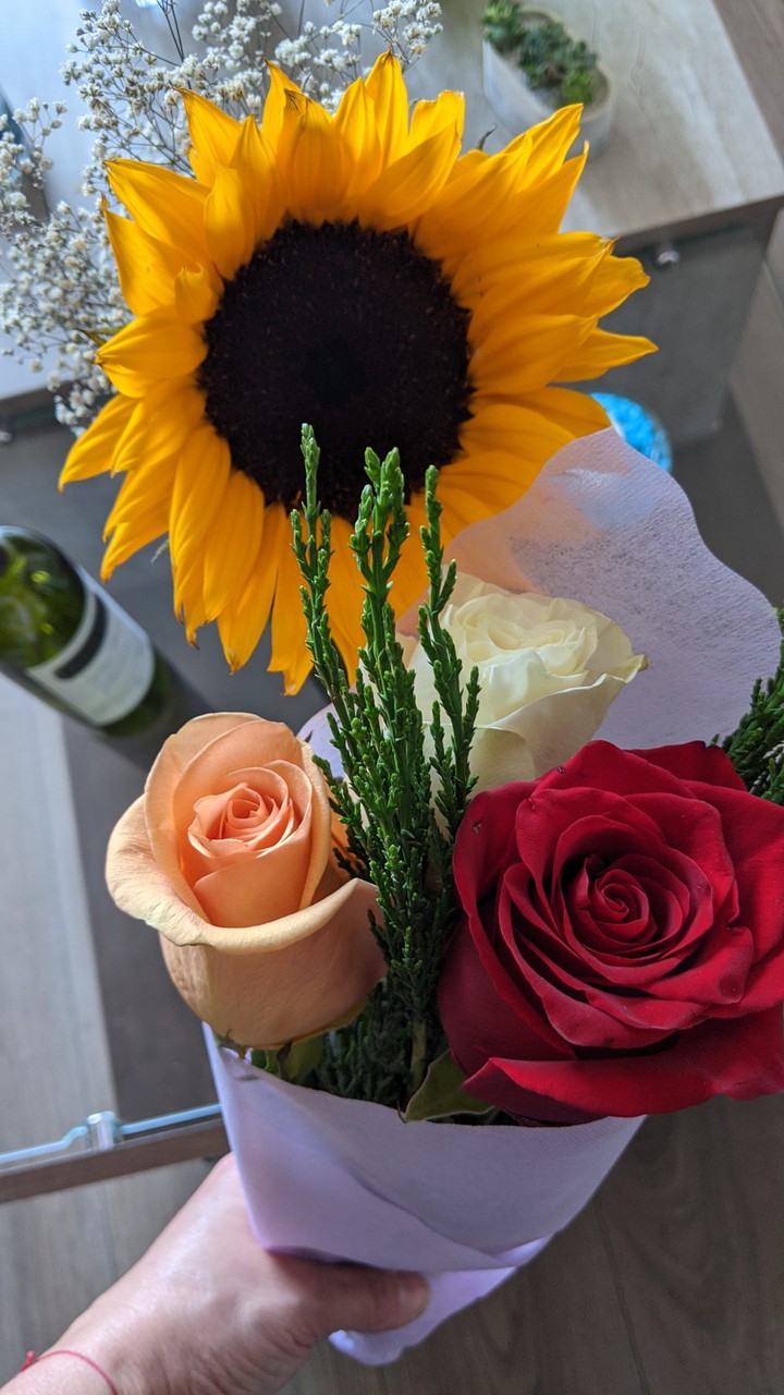 Flores