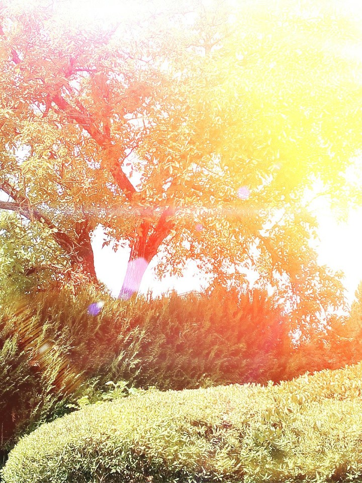 The landscape is very very beautiful !
