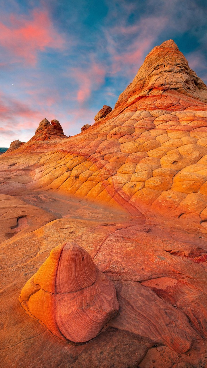 orange desert