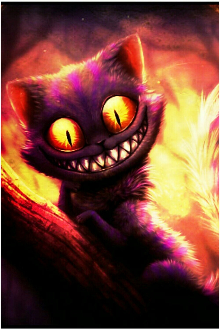 Grinsekatze ♡