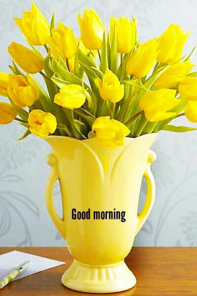 GoOD MOoRniNG