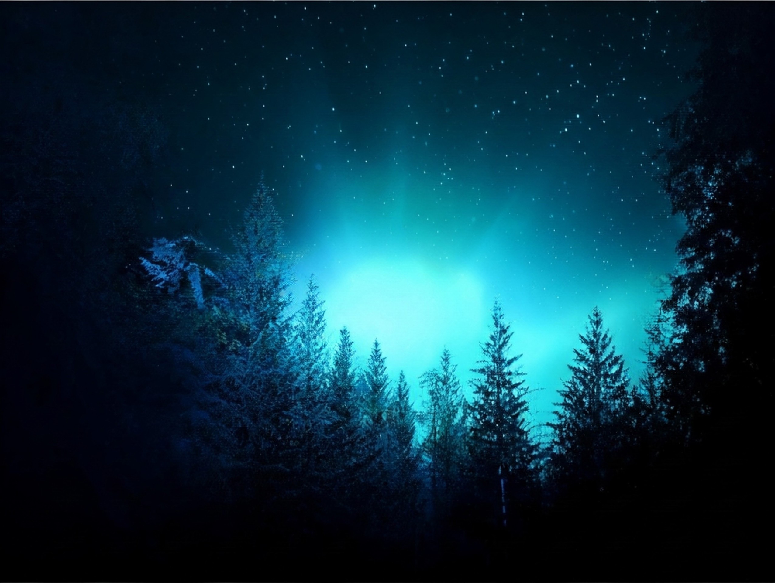 тапети conifers, Science