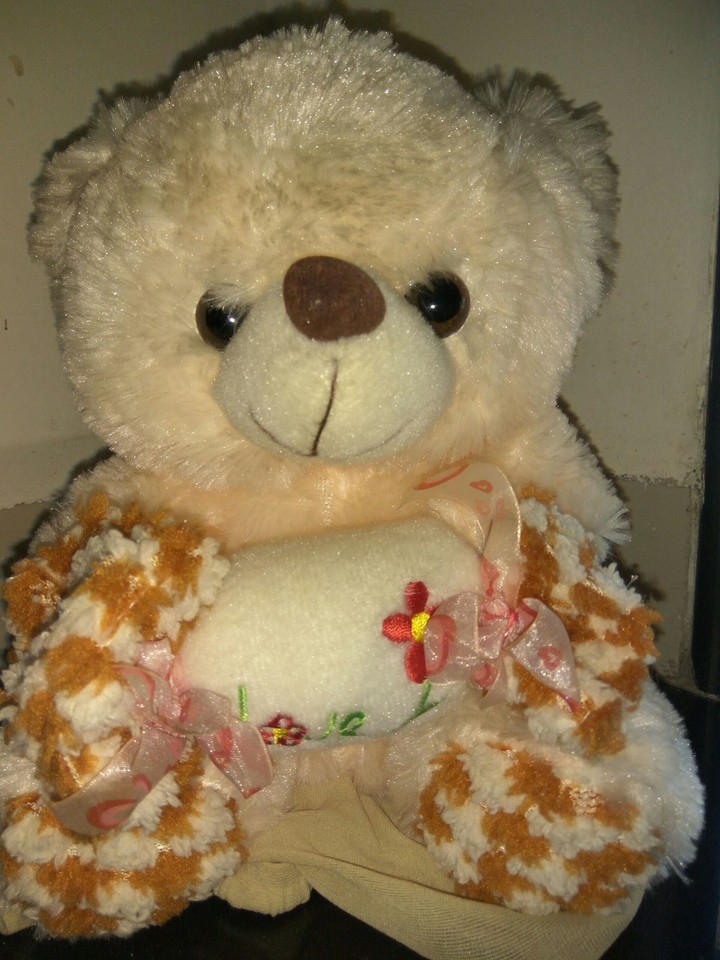 Teddy bear
