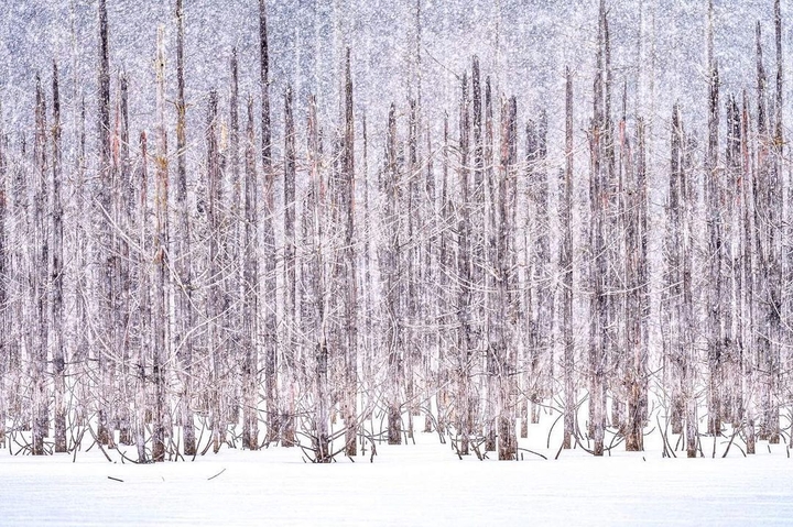snow.