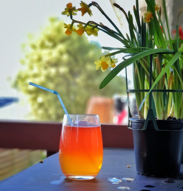 Fresh day with daffodils