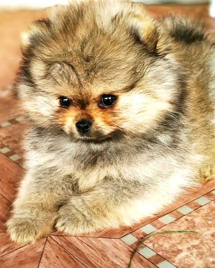 Моя крошка ?
