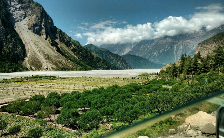 Apple farming.. Himalayas Nepal