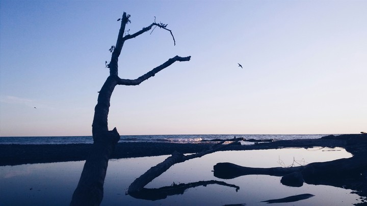 serenity
