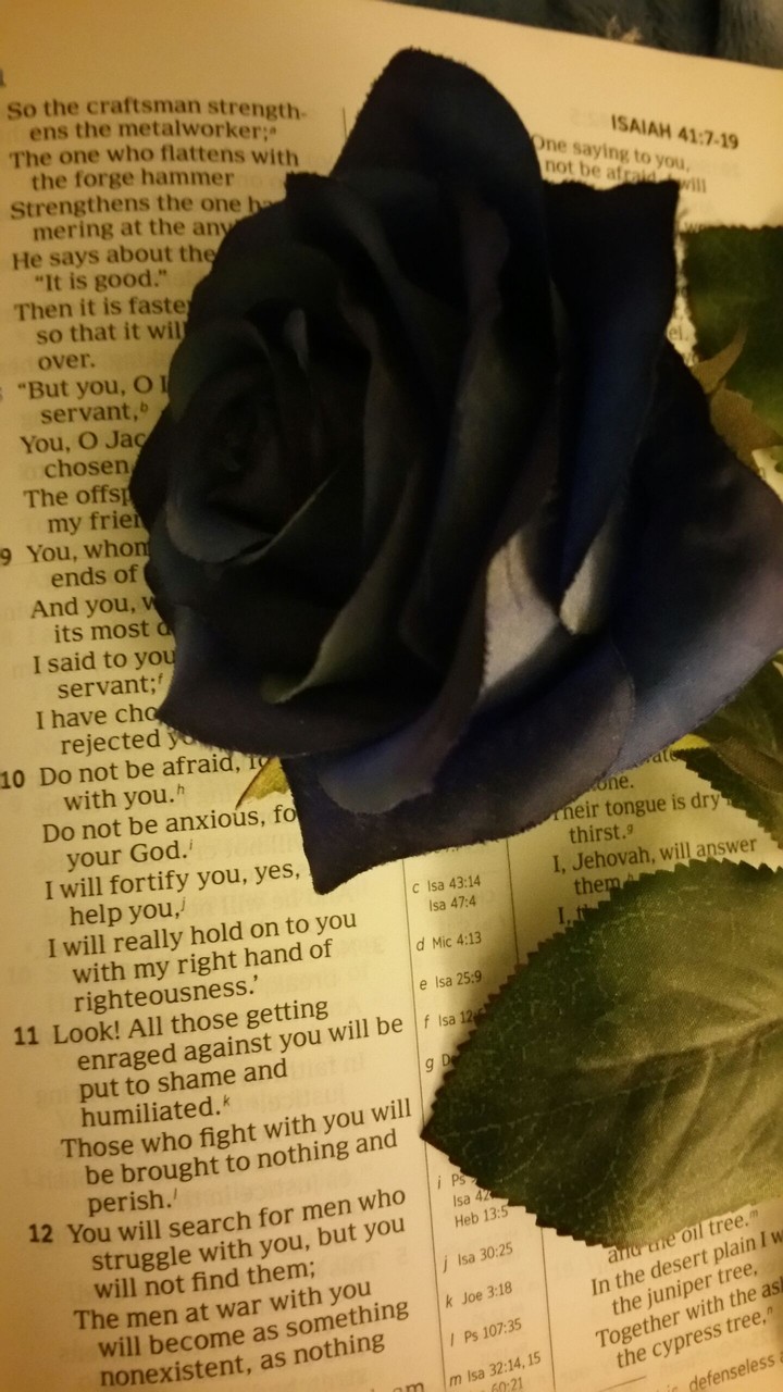 Rose on Bible