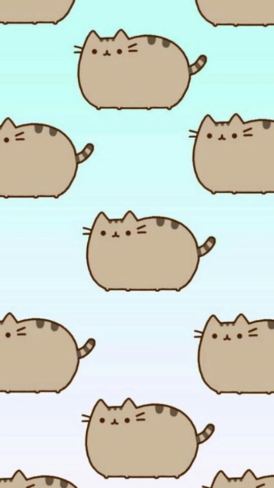 Коты