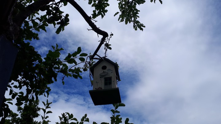 Fogelhaus