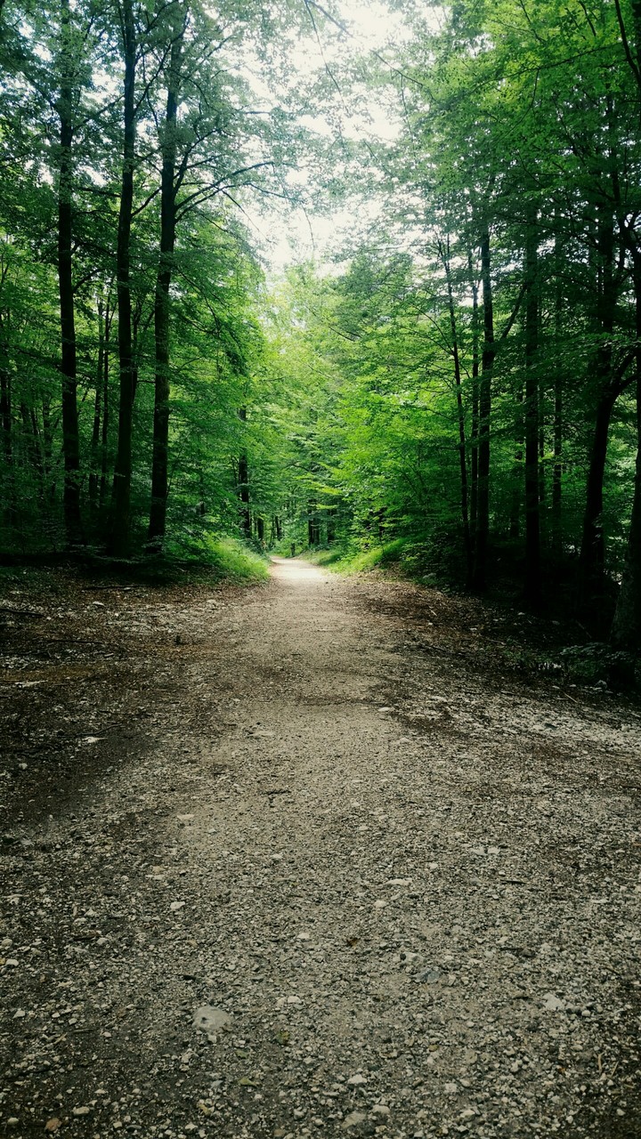 Road To Heaven