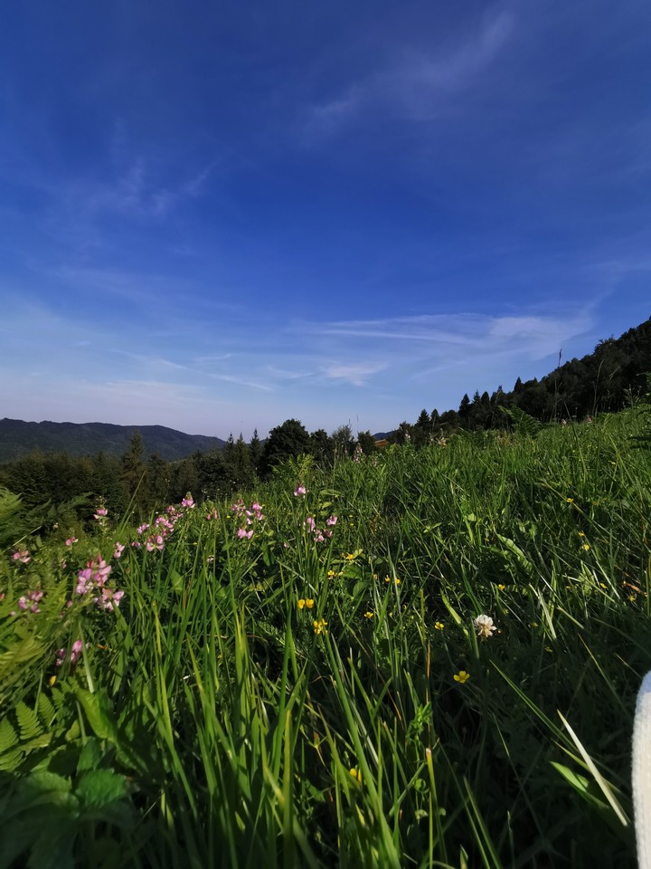 Karpaty Ukraine