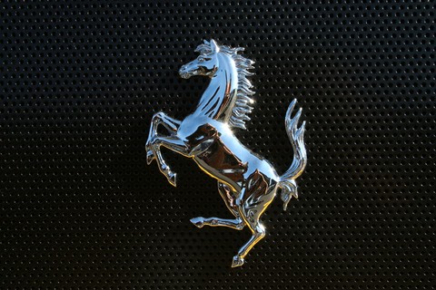 horse