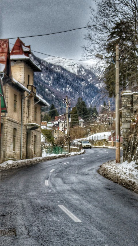 winter
