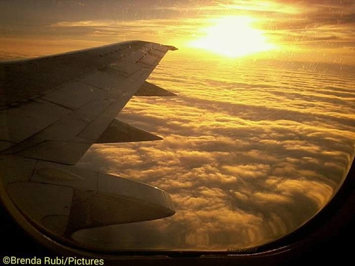 levanta el vuelo