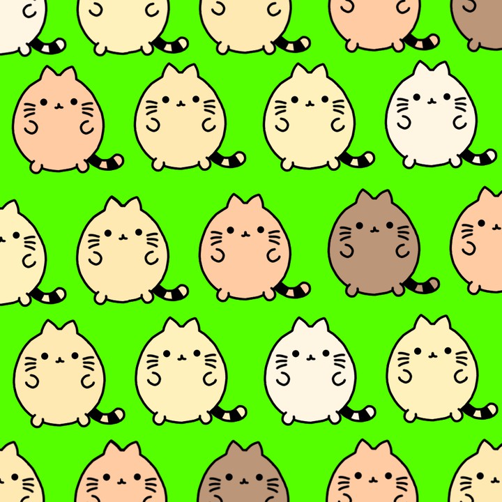몽냥이 첫 배경화면