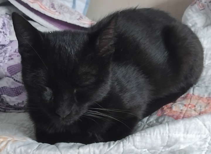 sleepy