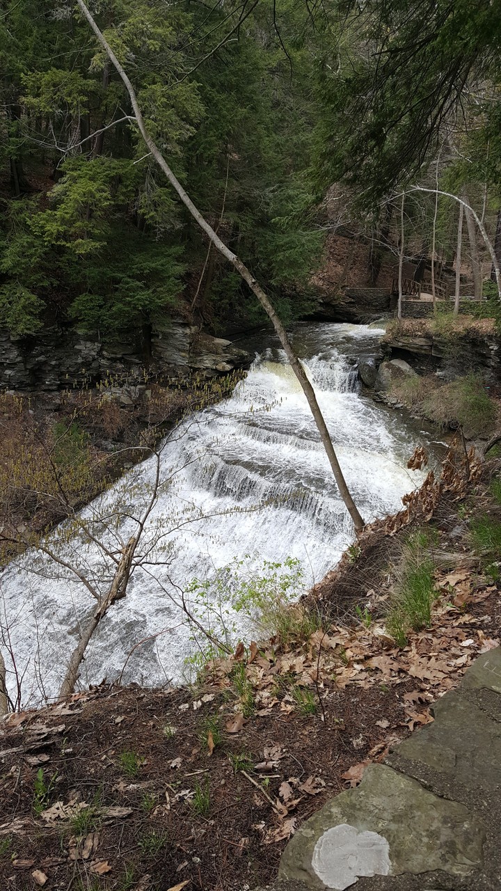 waterfall in new york