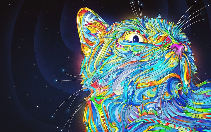 cat