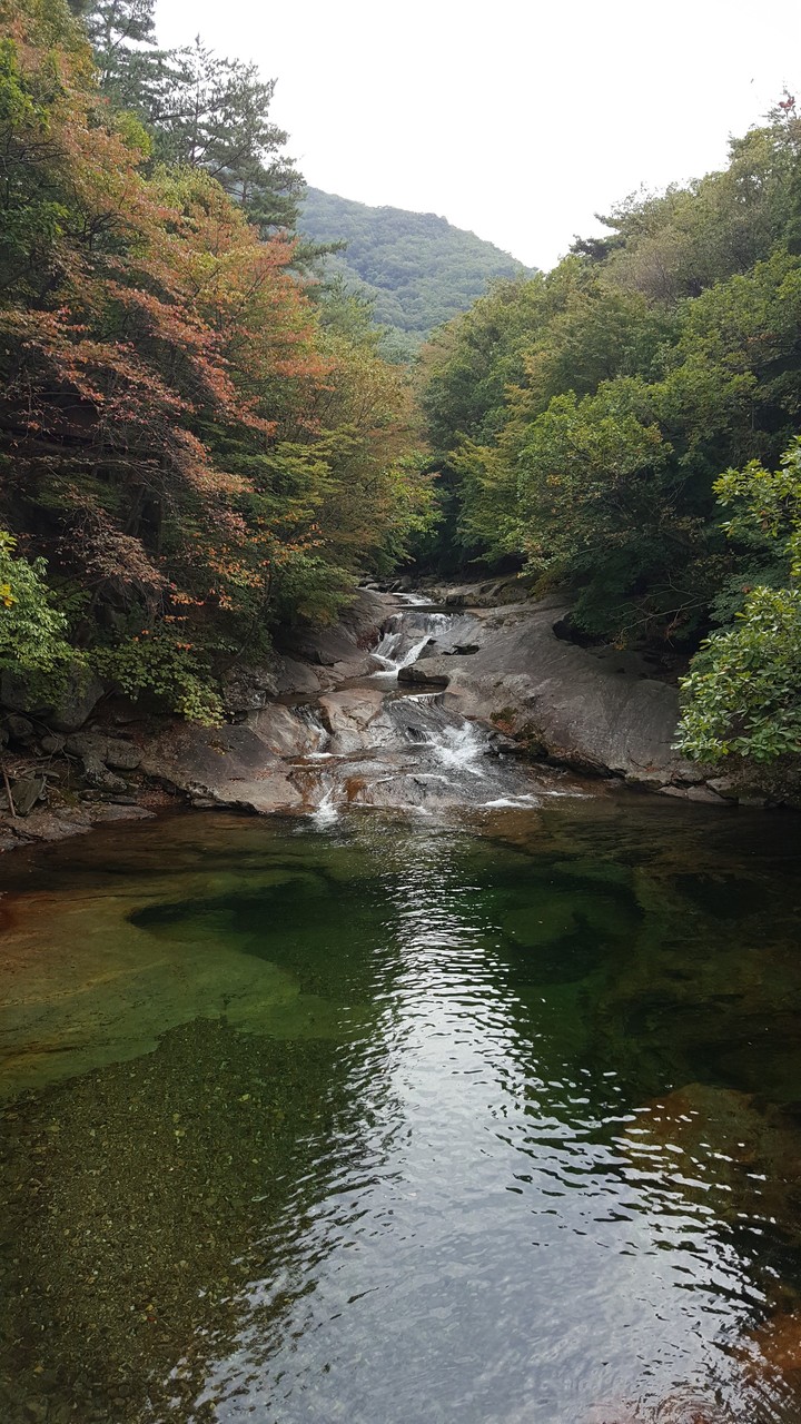 구천동 계곡