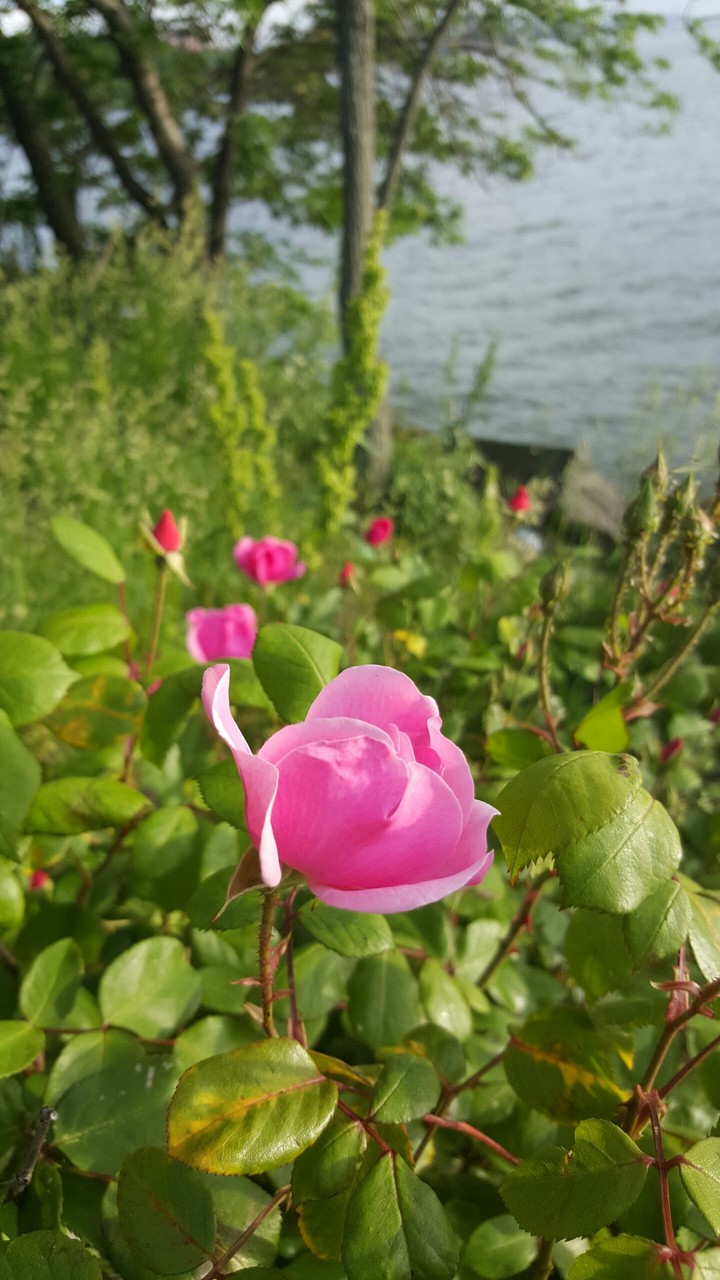 riverside