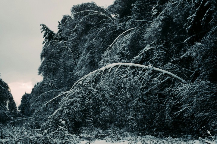 ❄