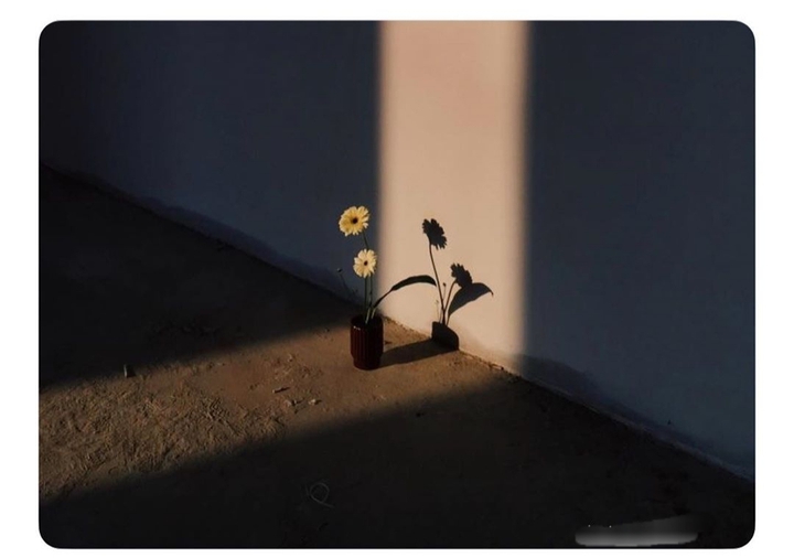 Shadow