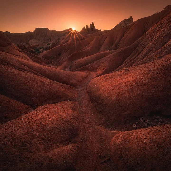 just desert