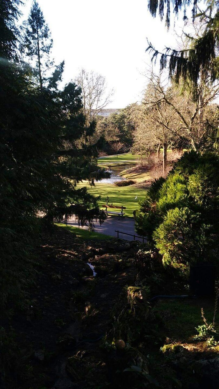Le Jardin de Plants