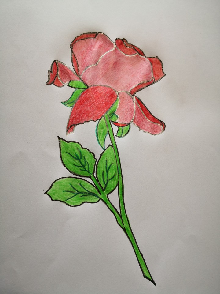 Art colors