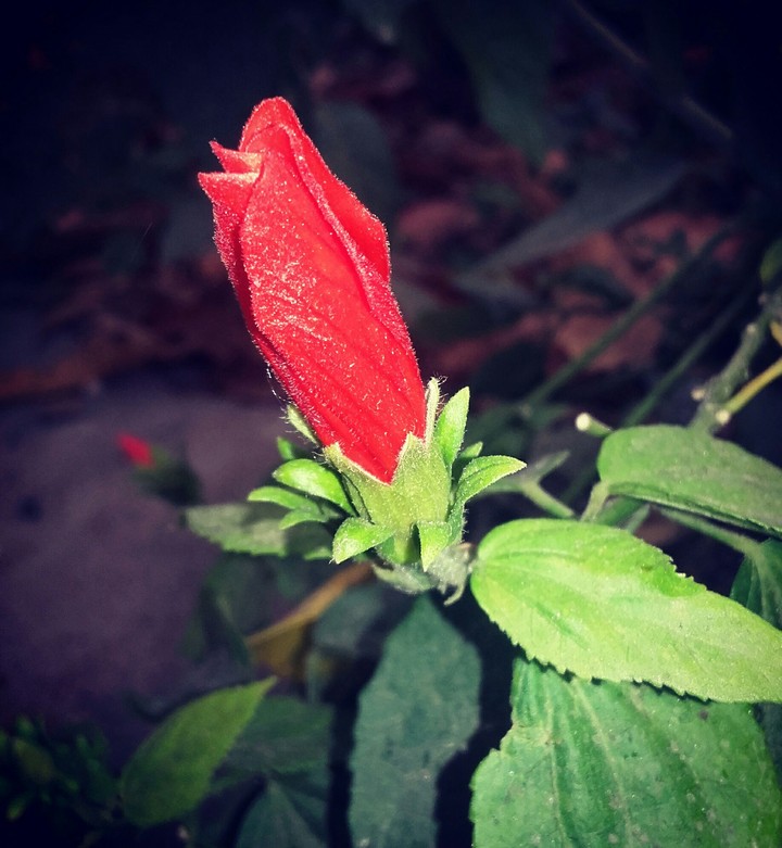 ❤❤