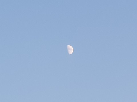 moon