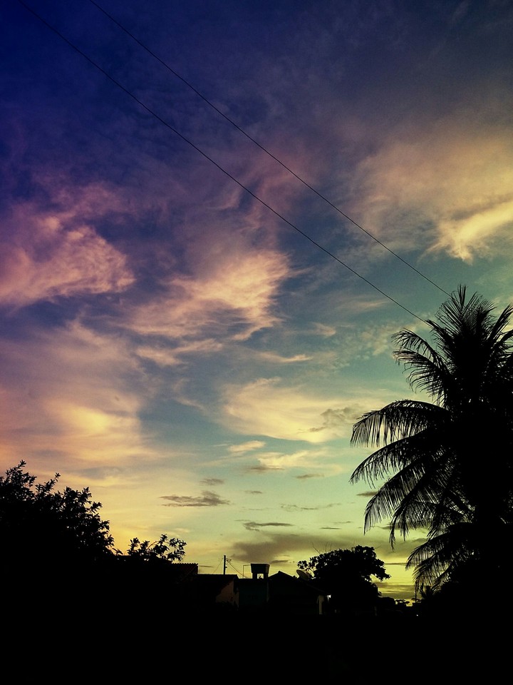 natureza - nature
