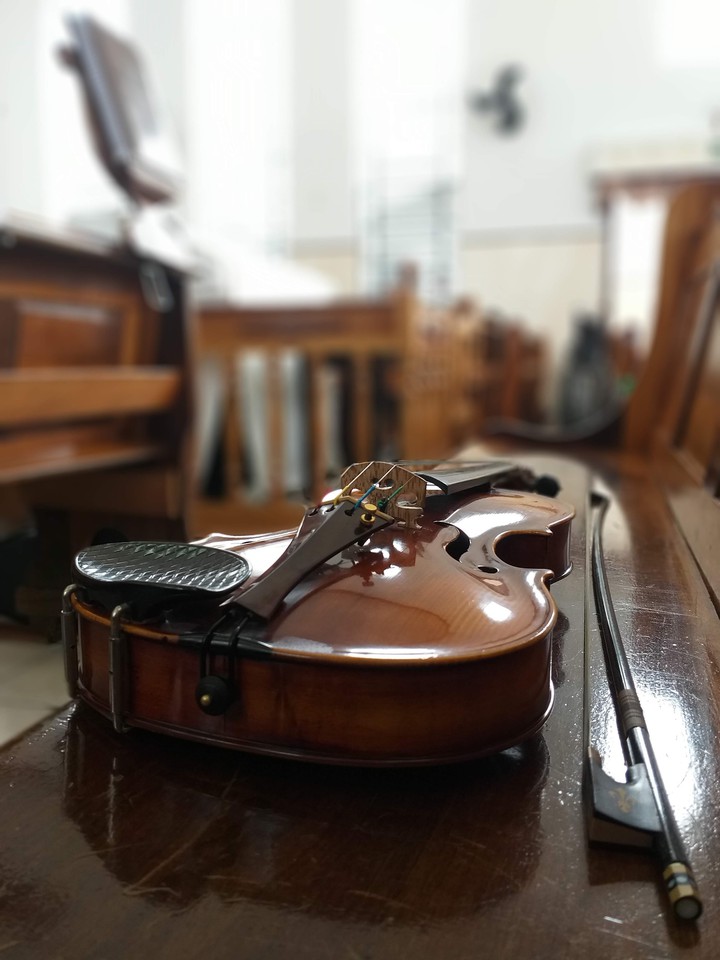 Violin : Josef jan "strunal " chezck republic