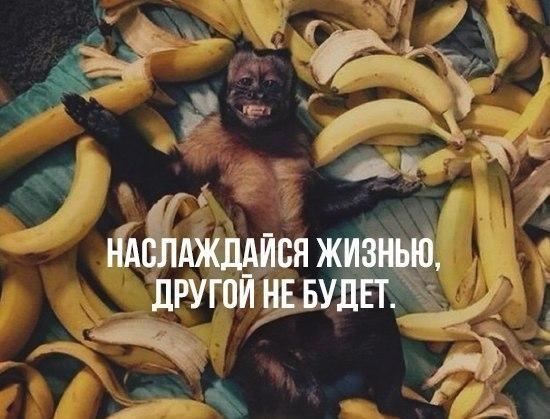Цитата