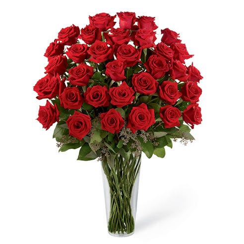 Red rose