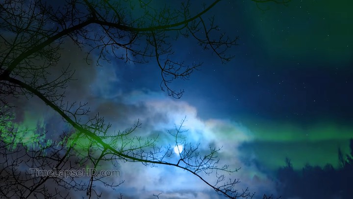 timescape