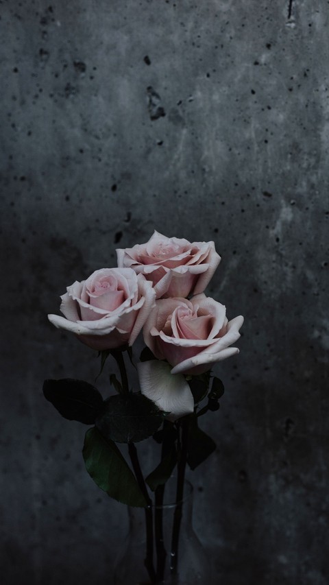 untold_feeling
