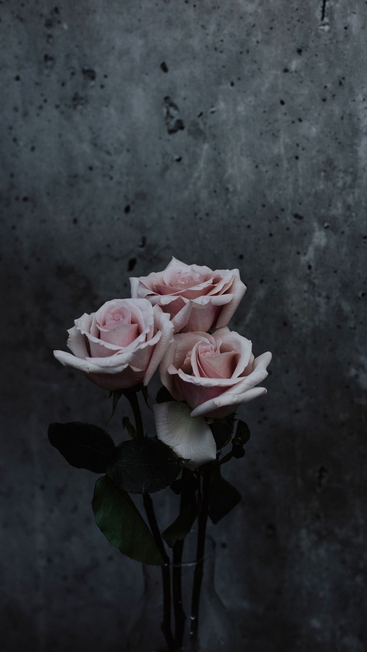 untold_feeling