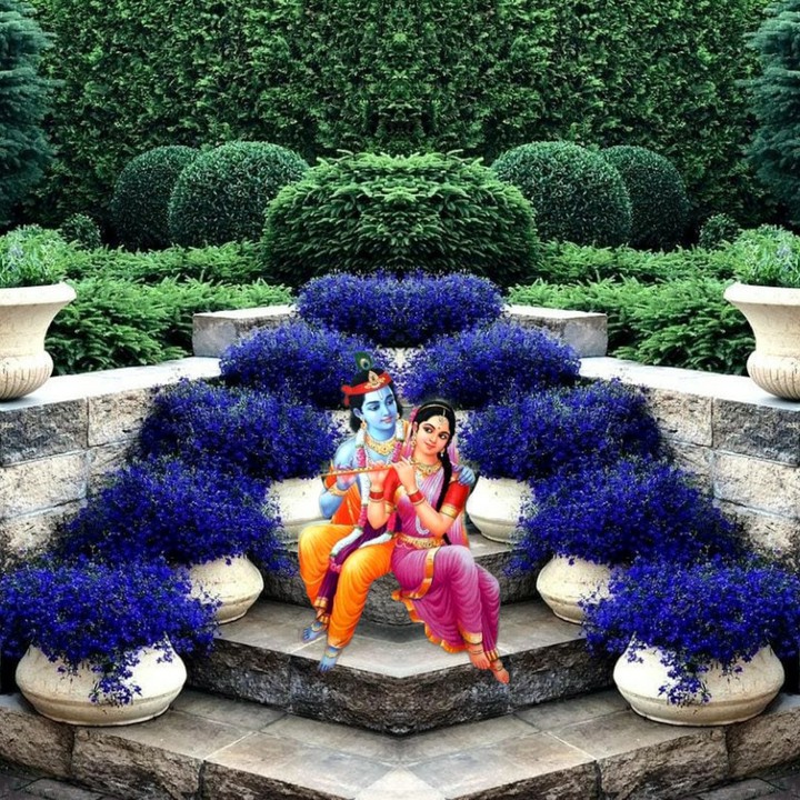 जय श्री राधे कृष्ण।