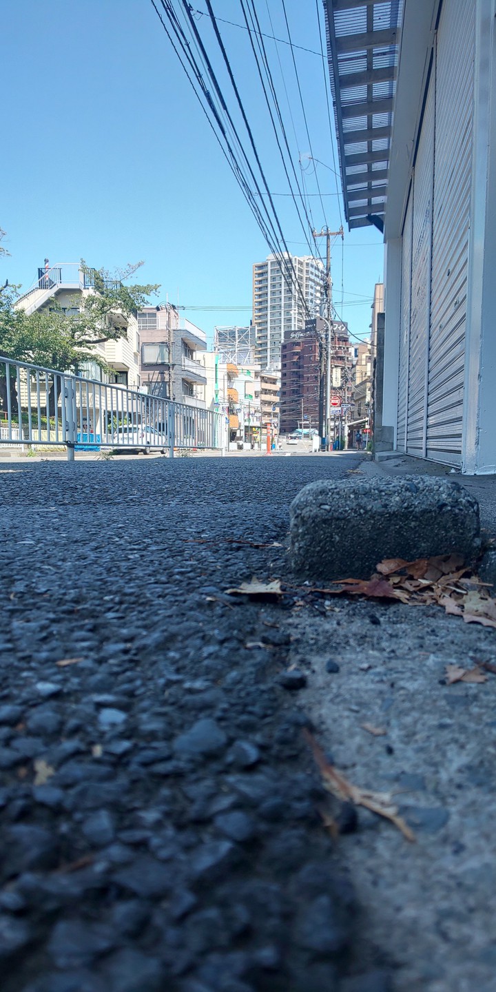 道