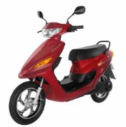 scoter