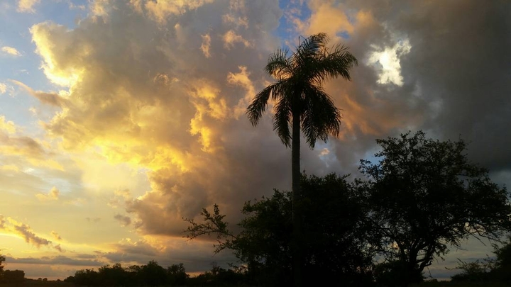 Atardecer