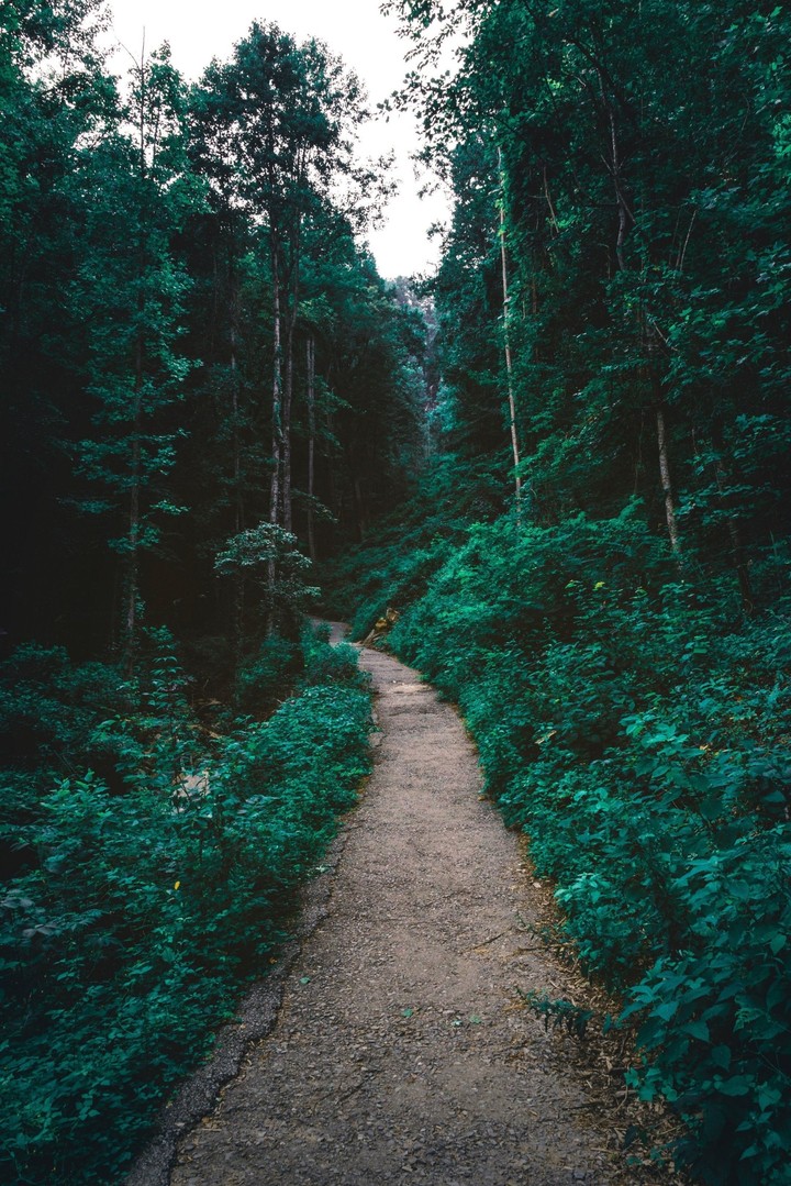 greenery
