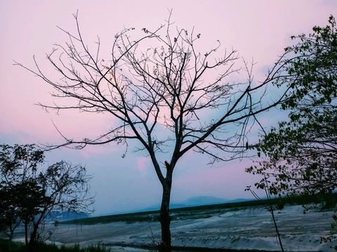 peace