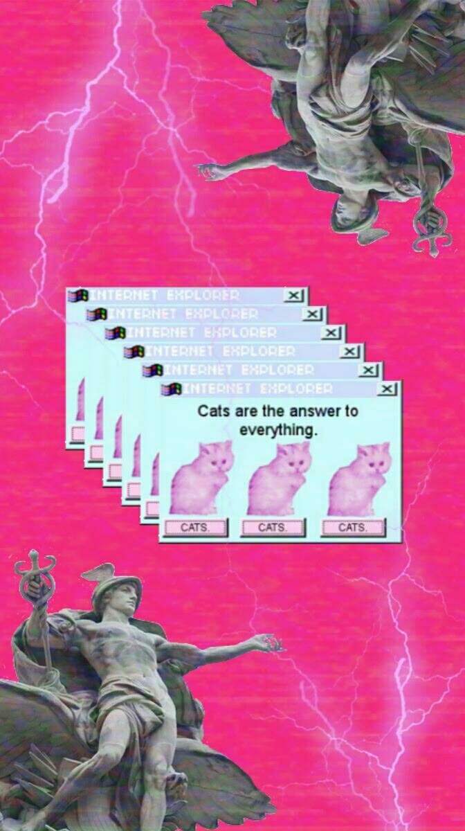 ｃａｔｓ　ａｒｅ　ｔｈｅ　ａｎｓｗｅｒ　ｔｏ　ｅｖｅｒｙｔｈｉｎｇ
