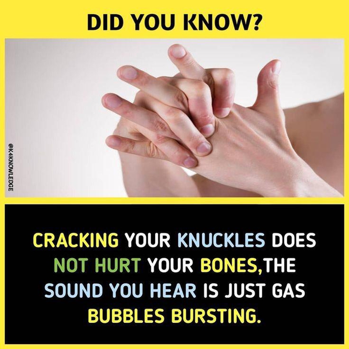 Fact